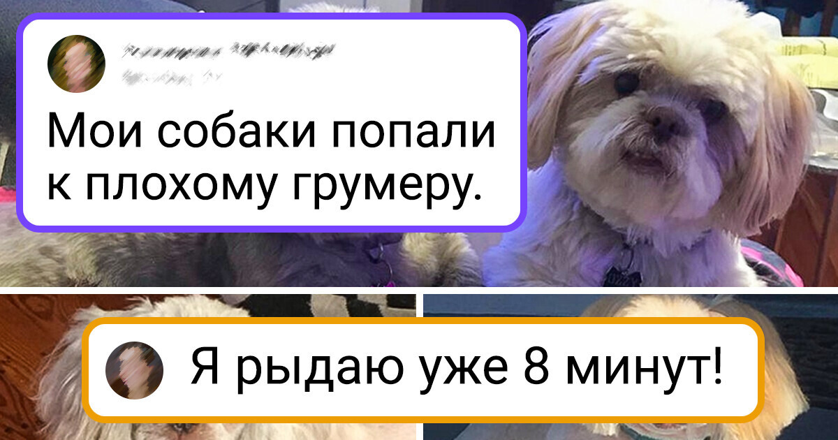 20+ человек, которые столкнулись с такой откровенной халтурой, что им можно только посочувствовать