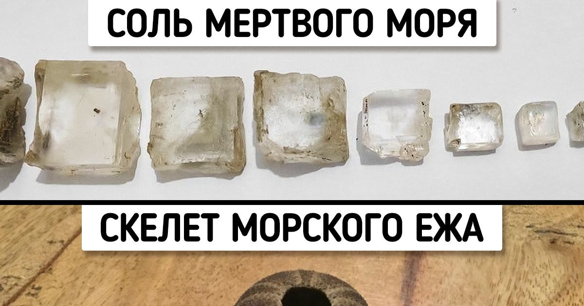 16 доказательств того, что обычные вещи умеют удивлять не хуже новостных заголовков 16 доказательств того, что обычные вещи умеют удивлять не хуже новостных заголовков