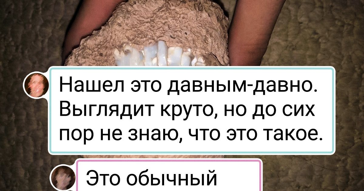 15 везунчиков, у которых есть дар находить крутые вещи буквально под ногами 15 везунчиков, у которых есть дар находить крутые вещи буквально под ногами