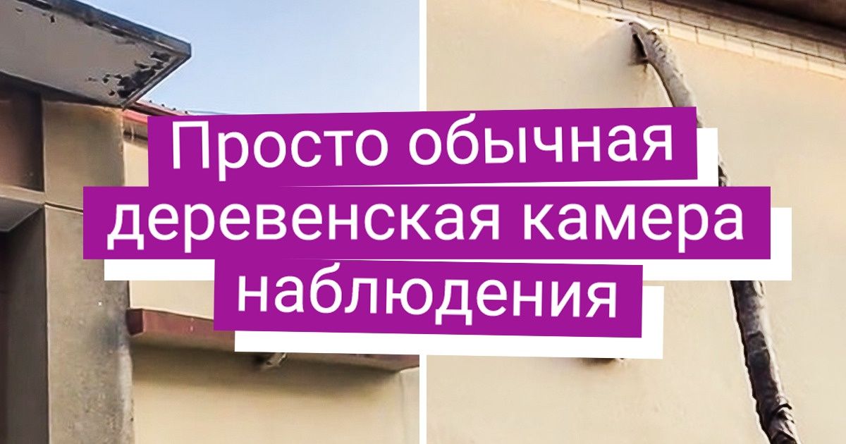 10+ доказательств того, что деревенские жители — это люди с неповторимым взглядом на мир 10+ доказательств того, что деревенские жители — это люди с неповторимым взглядом на мир