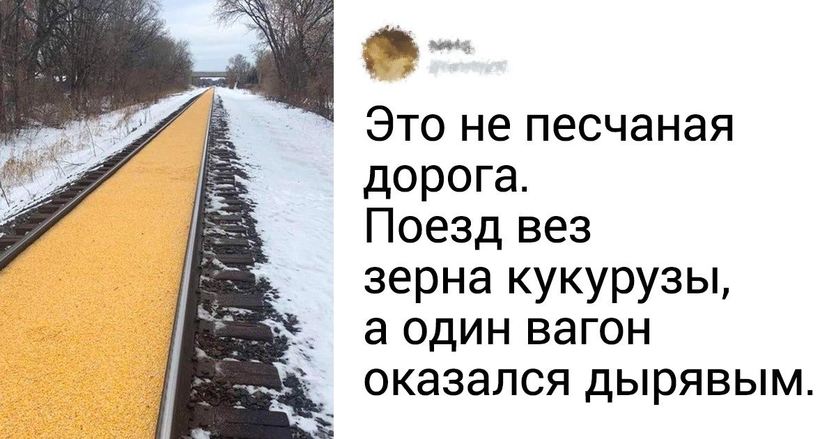 20+ фото для тех, кому срочно нужно успокоиться и прийти в себя