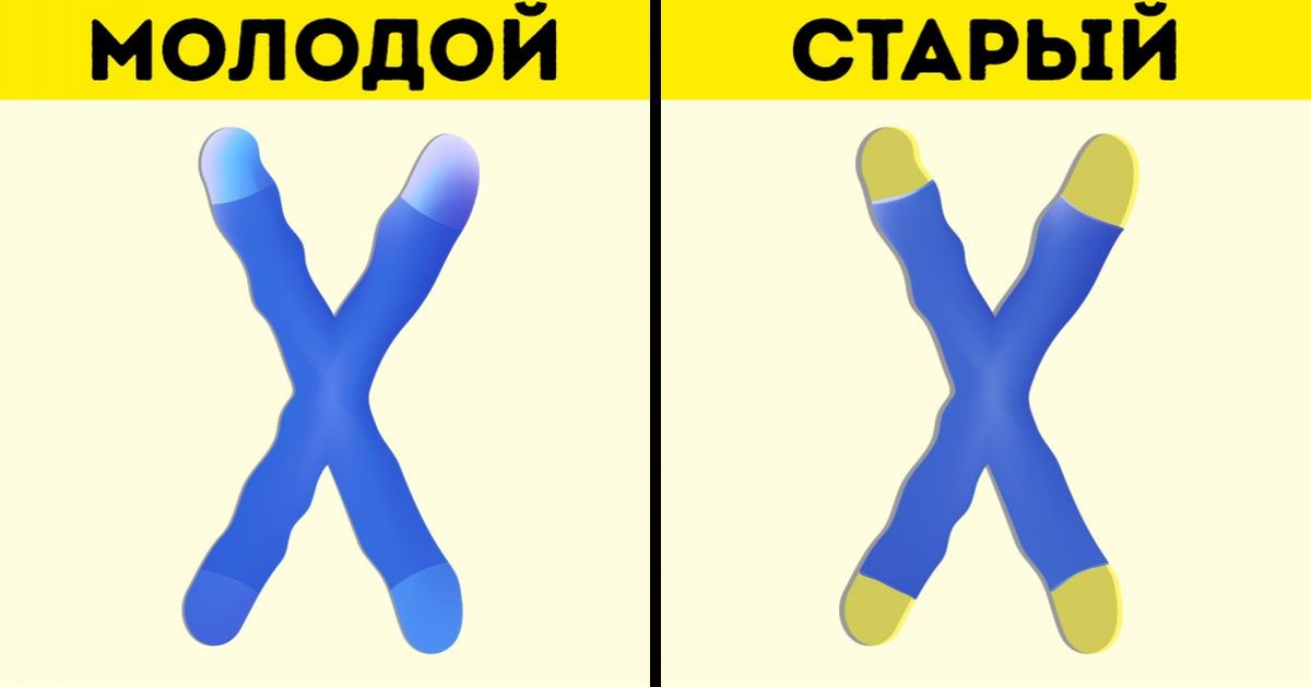 Какое изображение автор называет нормальным