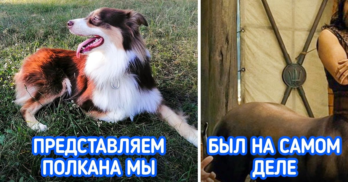 10+ доказательств, что наши любимые сказки хранят в себе тонну загадок
