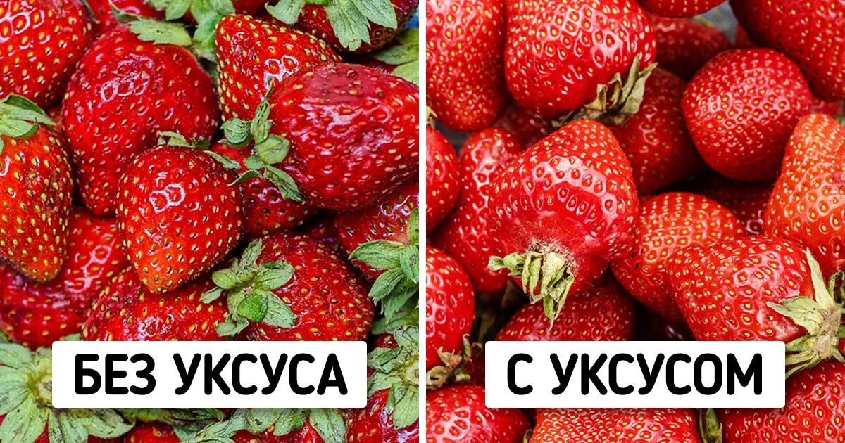 Бывалые кулинары поделились в сети лайфхаками, которые помогут прокачать ваши навыки готовки до продвинутого уровня Бывалые кулинары поделились в сети лайфхаками, которые помогут прокачать ваши навыки готовки до продвинутого уровня