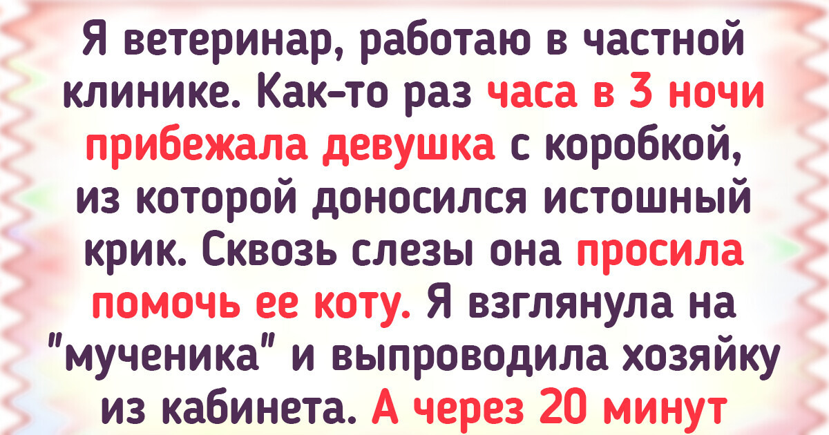 15+ записок ветеринаров об их четверолапых (и не только) пациентах 15+ записок ветеринаров об их четверолапых (и не только) пациентах