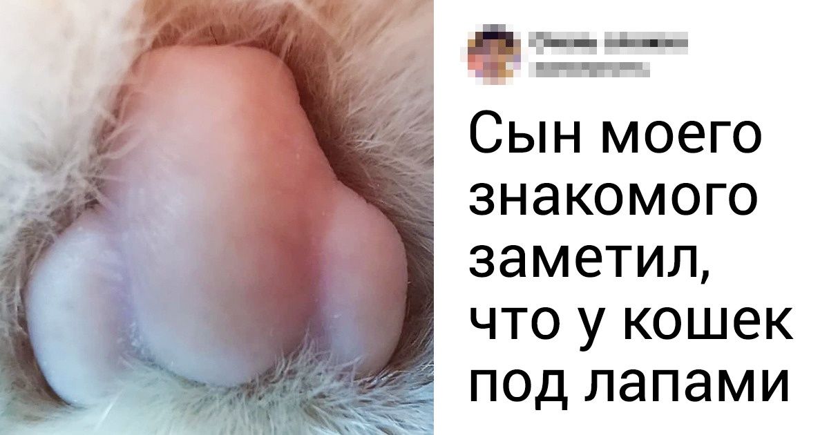 12 вещей, которые кажутся привычными, пока не посмотришь внимательнее 12 вещей, которые кажутся привычными, пока не посмотришь внимательнее