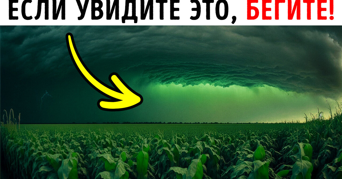 Почему нужно прятаться, если небо вдруг позеленеет? Почему нужно прятаться, если небо вдруг позеленеет?