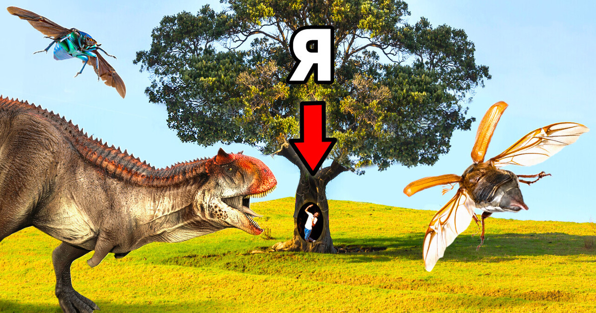 Эксперты нашли самое опасное место в мировой истории!