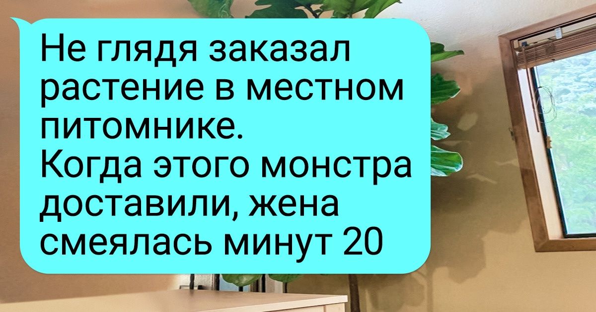 15+ человек, которые любят домашние растения больше, чем шоколадные конфетки 15+ человек, которые любят домашние растения больше, чем шоколадные конфетки