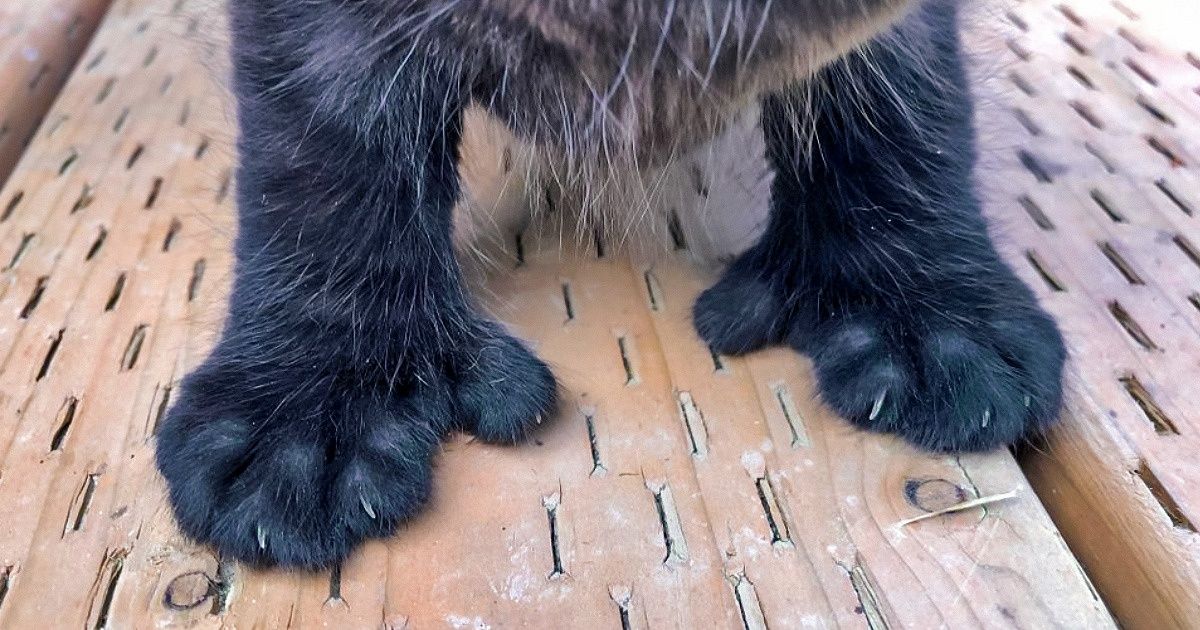 15 доказательств того, что в мире есть еще вещи, которых мы не видели 15 доказательств того, что в мире есть еще вещи, которых мы не видели