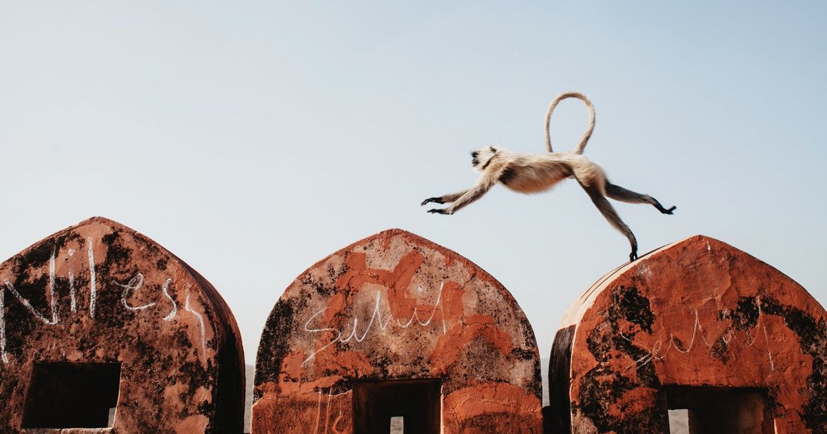 Фотограф из Беларуси показывает повседневную жизнь индийских городов Фотограф из Беларуси показывает повседневную жизнь индийских городов