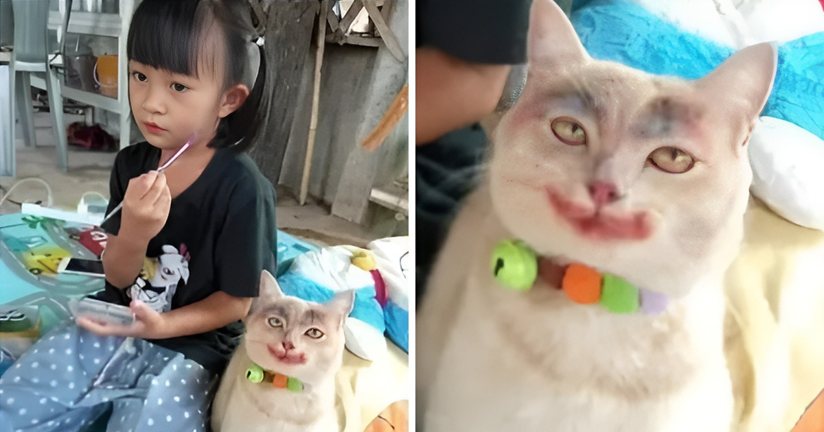 17 человек, которым еще долго не придется искать источники ярких впечатлений, ведь у них есть дети 17 человек, которым еще долго не придется искать источники ярких впечатлений, ведь у них есть дети