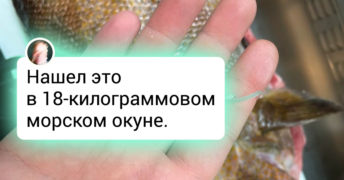 15+ поваров, которые обнаружили на кухне всякие диковинные штуки