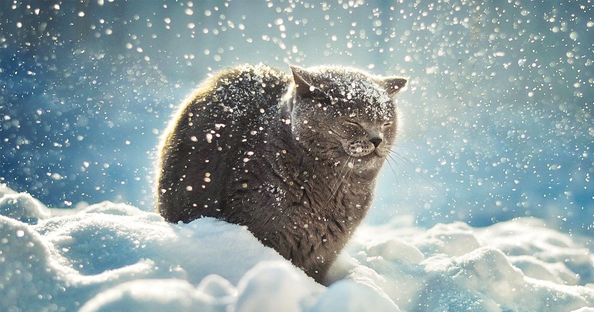 20+ снимков, которые сполна дадут вам почувствовать всю мощь и прелесть наступающей зимы 20+ снимков, которые сполна дадут вам почувствовать всю мощь и прелесть наступающей зимы