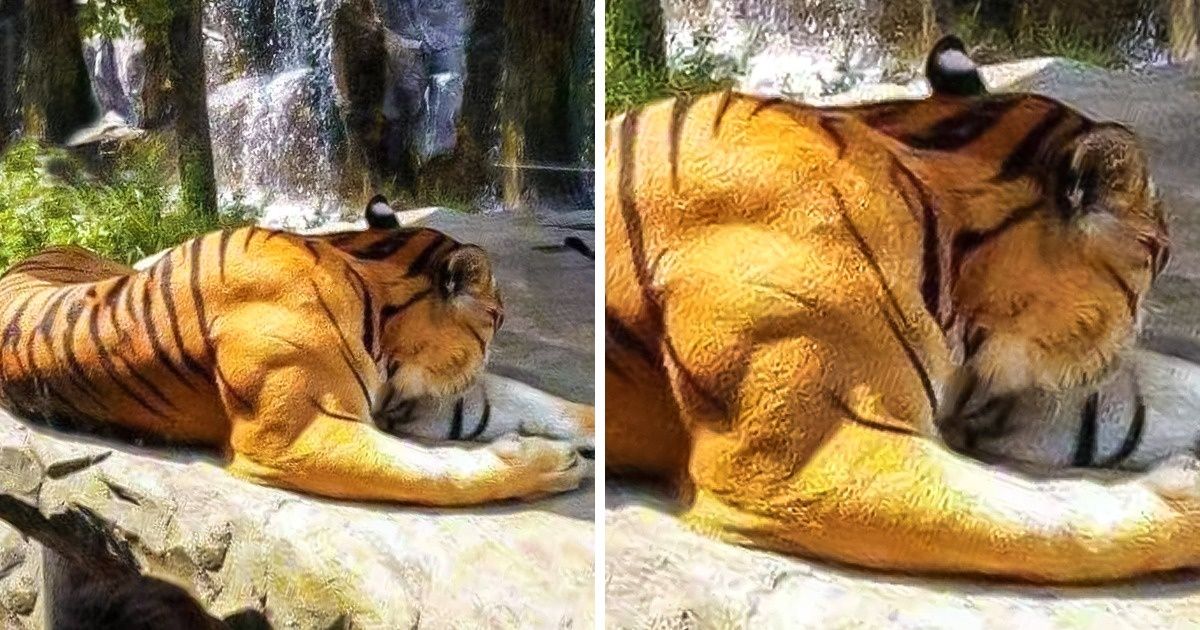 24 странные находки, которые захочется рассмотреть поближе 24 странные находки, которые захочется рассмотреть поближе