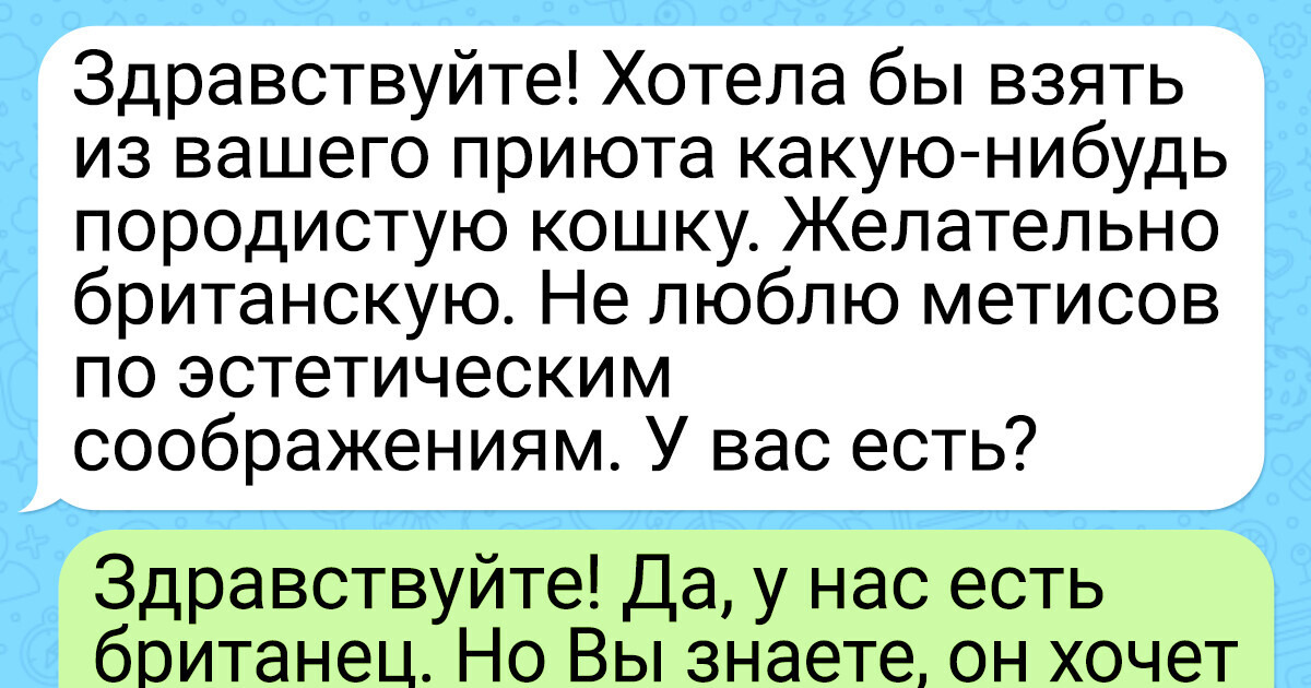 15 переписок с наглецами, которые думали, что всех переиграли. Но не тут-то было 15 переписок с наглецами, которые думали, что всех переиграли. Но не тут-то было