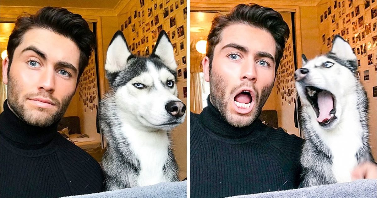 Британец запустил флешмоб с хозяевами, которые мастерски копируют своих харизматичных питомцев