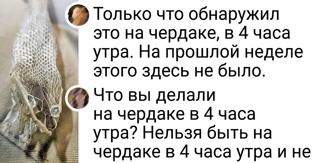 18 остряков, которым только дай повод подколоть других за неудачи 18 остряков, которым только дай повод подколоть других за неудачи