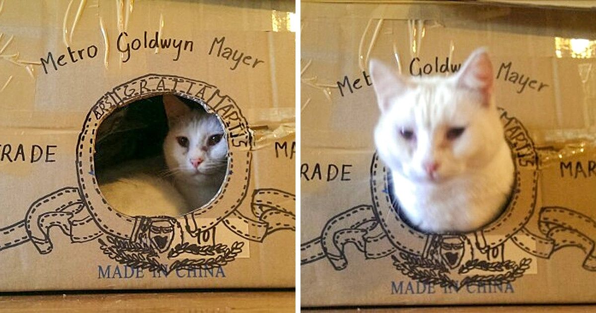 20+ человек, которые способны создать меткую пародию на что угодно