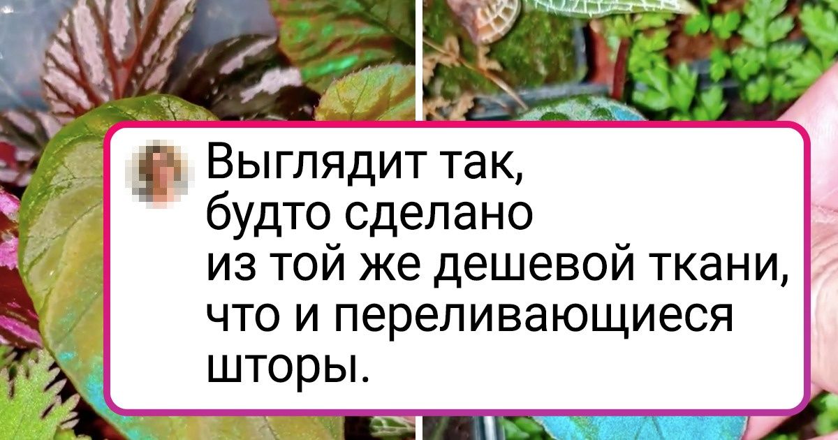 20+ растений, которые похожи на результат эксперимента сумасшедшего ученого 20+ растений, которые похожи на результат эксперимента сумасшедшего ученого