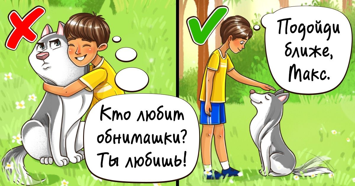 10 вещей, которые вызывают стресс у наших собак, и объятия — одна из них 10 вещей, которые вызывают стресс у наших собак, и объятия — одна из них