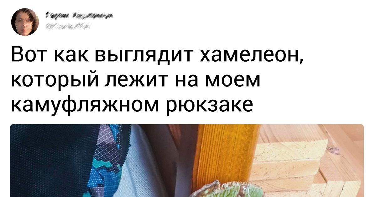 19 доказательств того, как много мы не знаем об обычных вещах