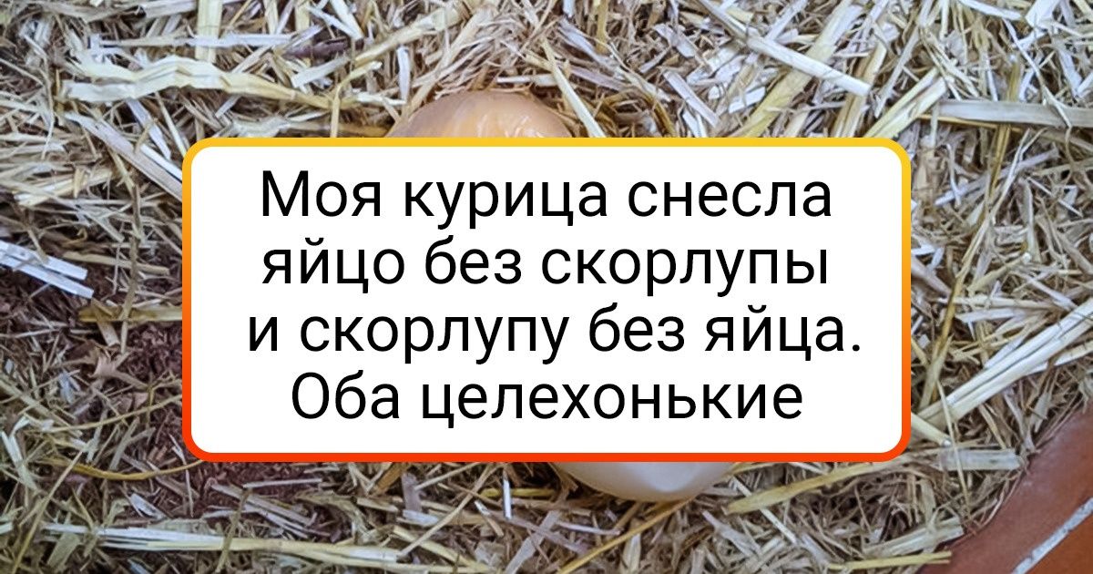 15 фото, доказывающих, что мир с каждым днем становится все чудесатее и чудесатее 15 фото, доказывающих, что мир с каждым днем становится все чудесатее и чудесатее