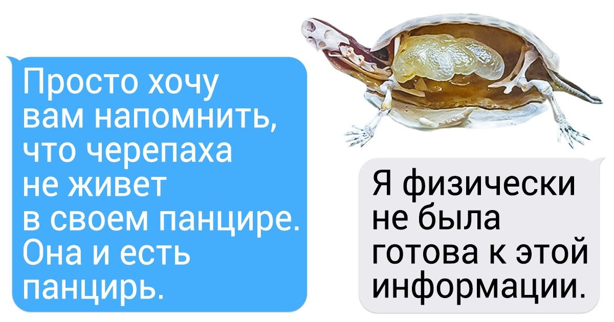 20+ фото, на которых привычные вещи раскрывают свои маленькие тайны 20+ фото, на которых привычные вещи раскрывают свои маленькие тайны