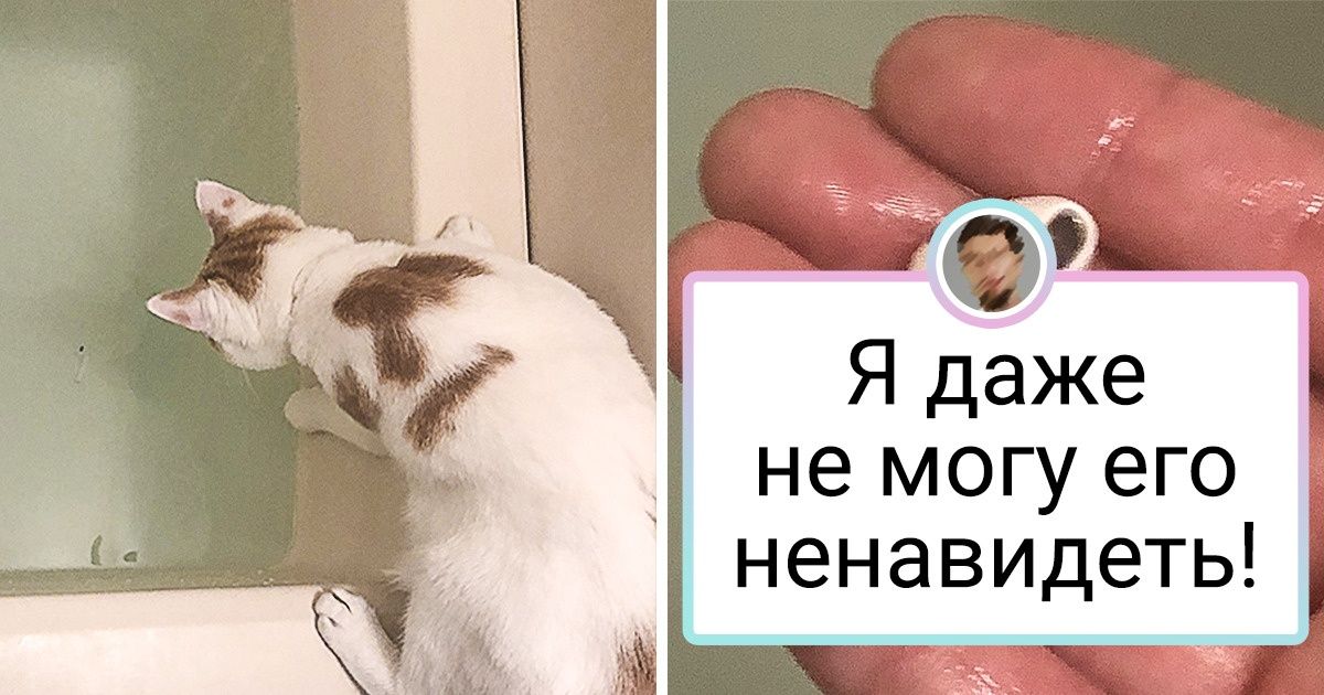 20 фото, на которых драма буквально переливается через край 20 фото, на которых драма буквально переливается через край
