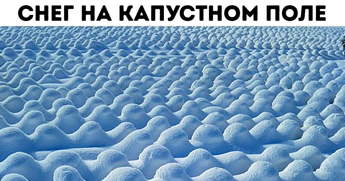 14 шикарных фотографий, которые выбиваются из обычной реальности 14 шикарных фотографий, которые выбиваются из обычной реальности