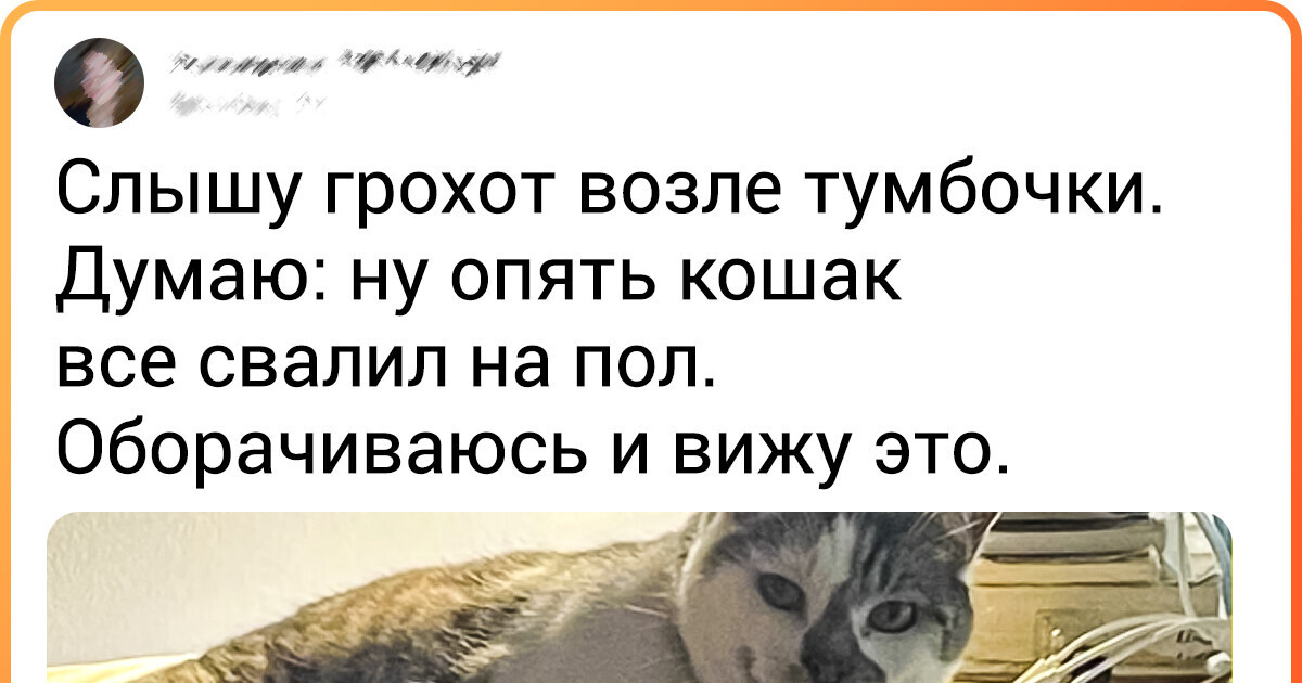 16 фото, которые найдут отклик у многих владельцев животных