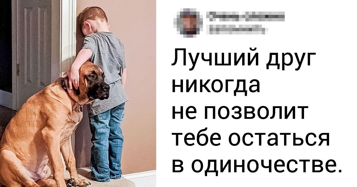 20+ трогательных доказательств того, что наши питомцы уж точно будут с нами и в горе, и в радости