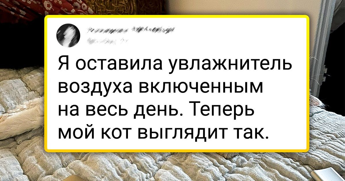 18 твитов, которые поймут все, у кого есть четвероногий любимчик 18 твитов, которые поймут все, у кого есть четвероногий любимчик