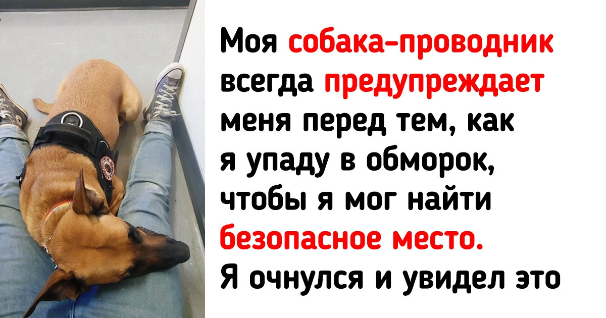 15 моментов, которые согрели наши сердца 15 моментов, которые согрели наши сердца