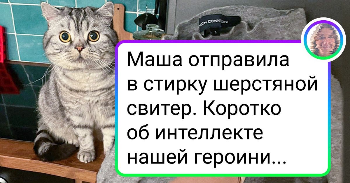 Бытовуха картинки смешные