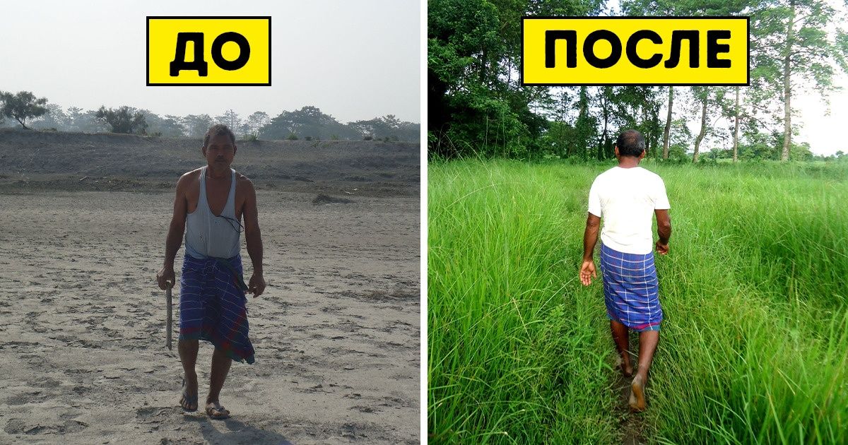 Мужчина потратил 40 лет, чтобы превратить пустыню в гигантский лес, и доказал, что для нашей планеты все еще есть надежда