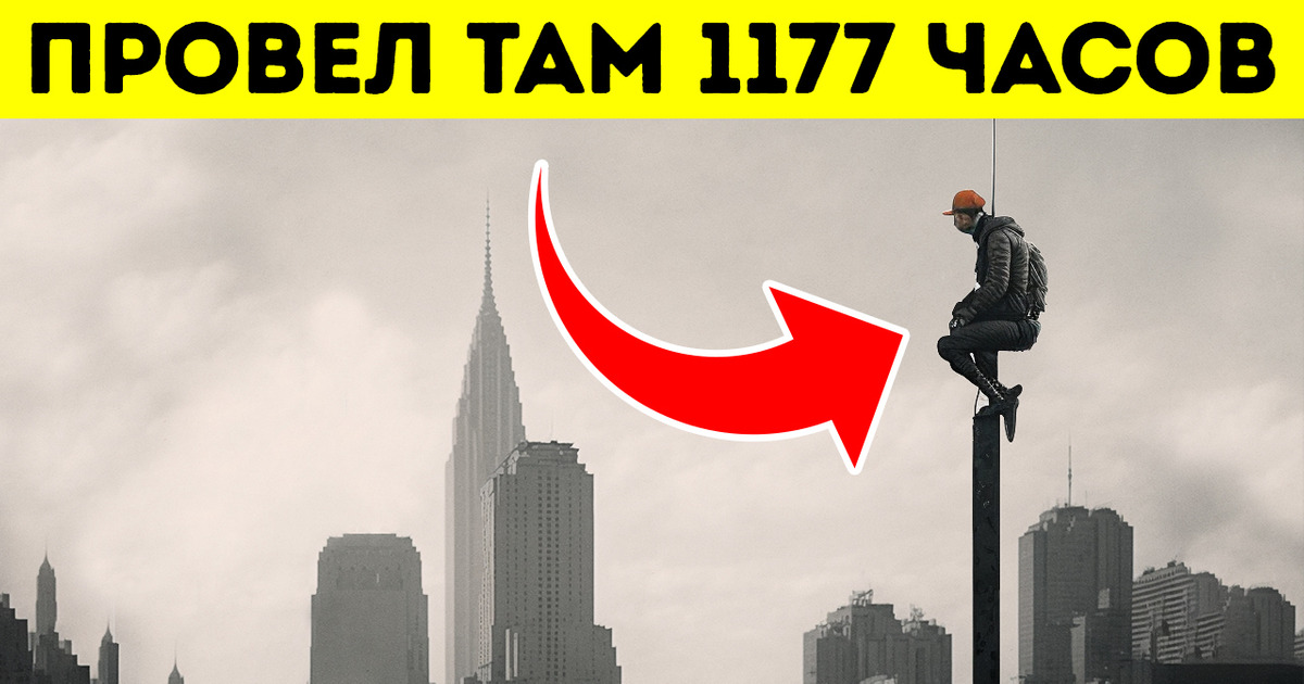 Человек, который провел 49 дней, сидя на флагштоке Человек, который провел 49 дней, сидя на флагштоке