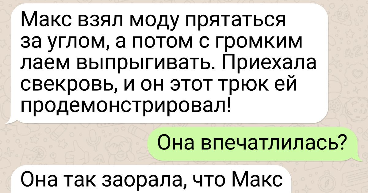 Девушка-ветеринар показывает переписки с клиентами, сюжеты которых острее самурайского меча Девушка-ветеринар показывает переписки с клиентами, сюжеты которых острее самурайского меча