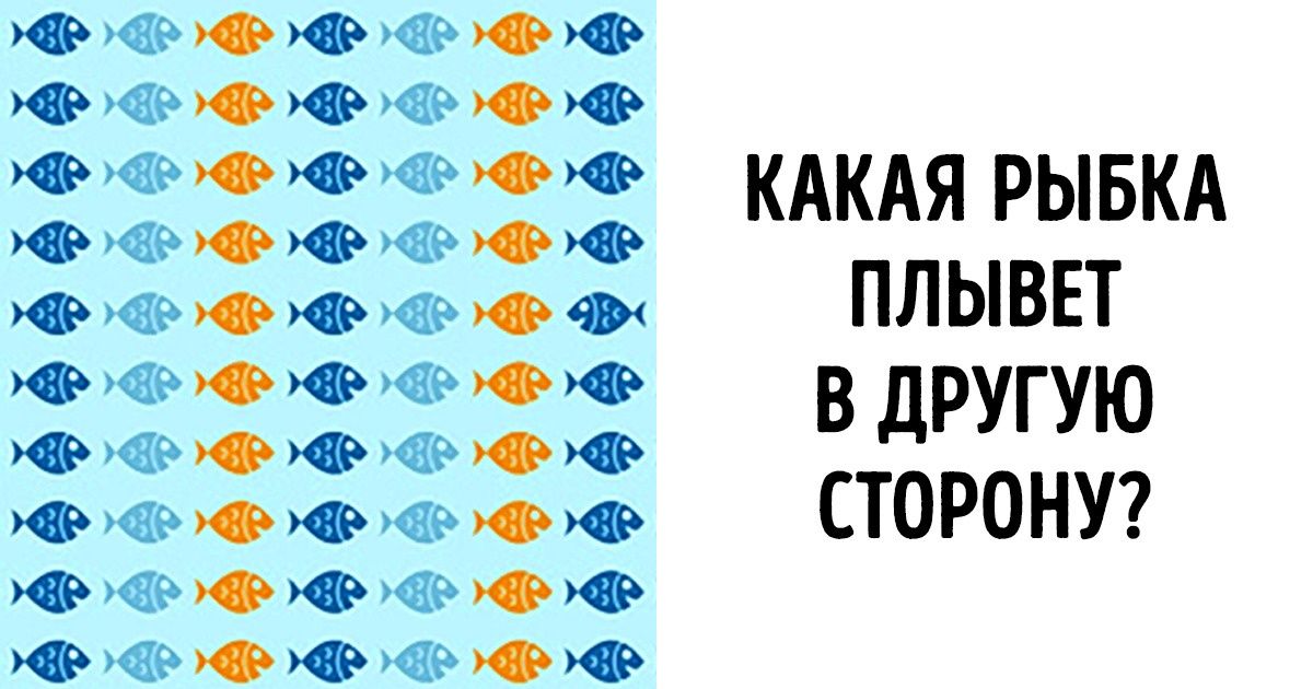 9 заданий, которые помогут определить, насколько у вас зоркий глаз 9 заданий, которые помогут определить, насколько у вас зоркий глаз