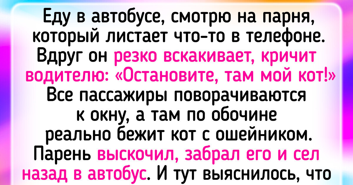 15+ питомцев, которые ни за что не дадут хозяевам заскучать