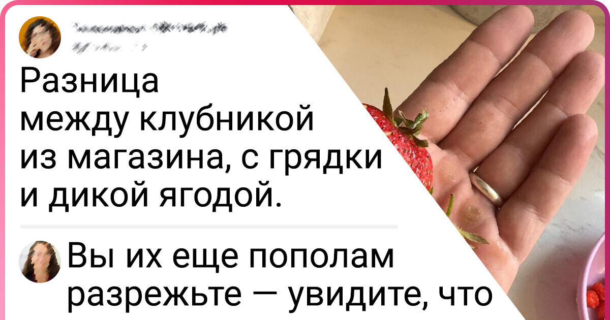 19 умелых огородников похвастались тем, что выросло у них в саду 19 умелых огородников похвастались тем, что выросло у них в саду