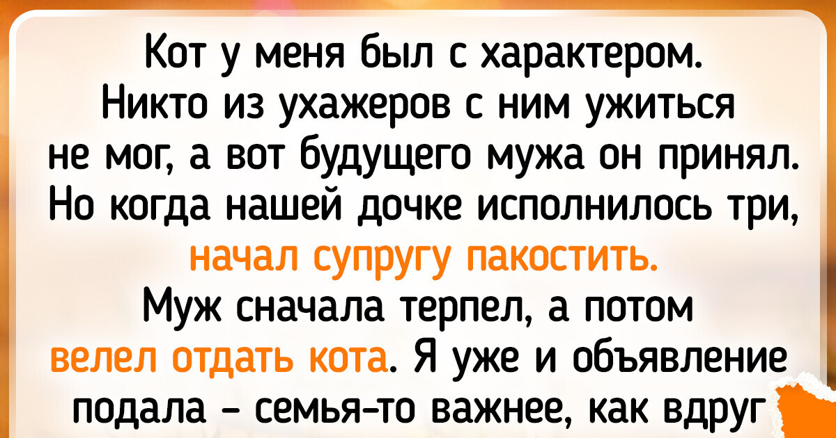 17 теплых историй о животных, которые всегда готовы прийти к нам на помощь в трудный момент