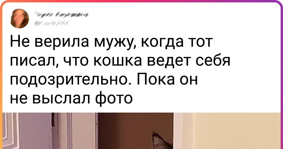 19 мужей, которых жены выбирали по принципу «О, а этот с приколом» 19 мужей, которых жены выбирали по принципу «О, а этот с приколом»