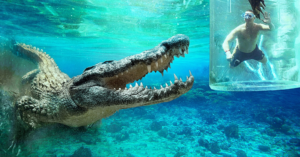 Бассейны, которые точно не помогут преодолеть страх воды Бассейны, которые точно не помогут преодолеть страх воды