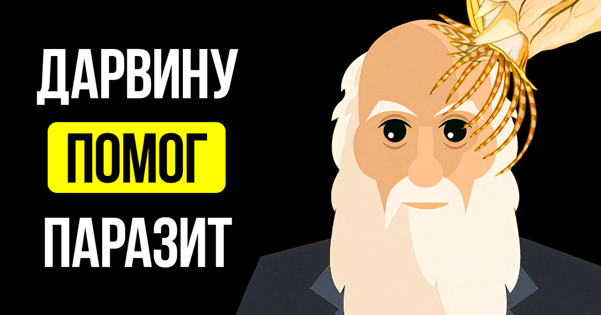 Существа, которых Дарвин ненавидел, сделали его популярным Существа, которых Дарвин ненавидел, сделали его популярным