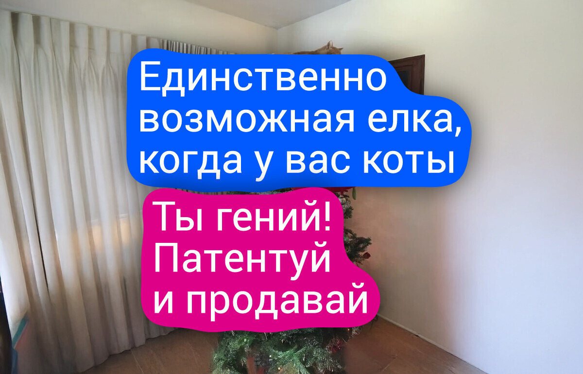 20+ пушистых проказников, которые встретили Новый год по своим правилам 20+ пушистых проказников, которые встретили Новый год по своим правилам