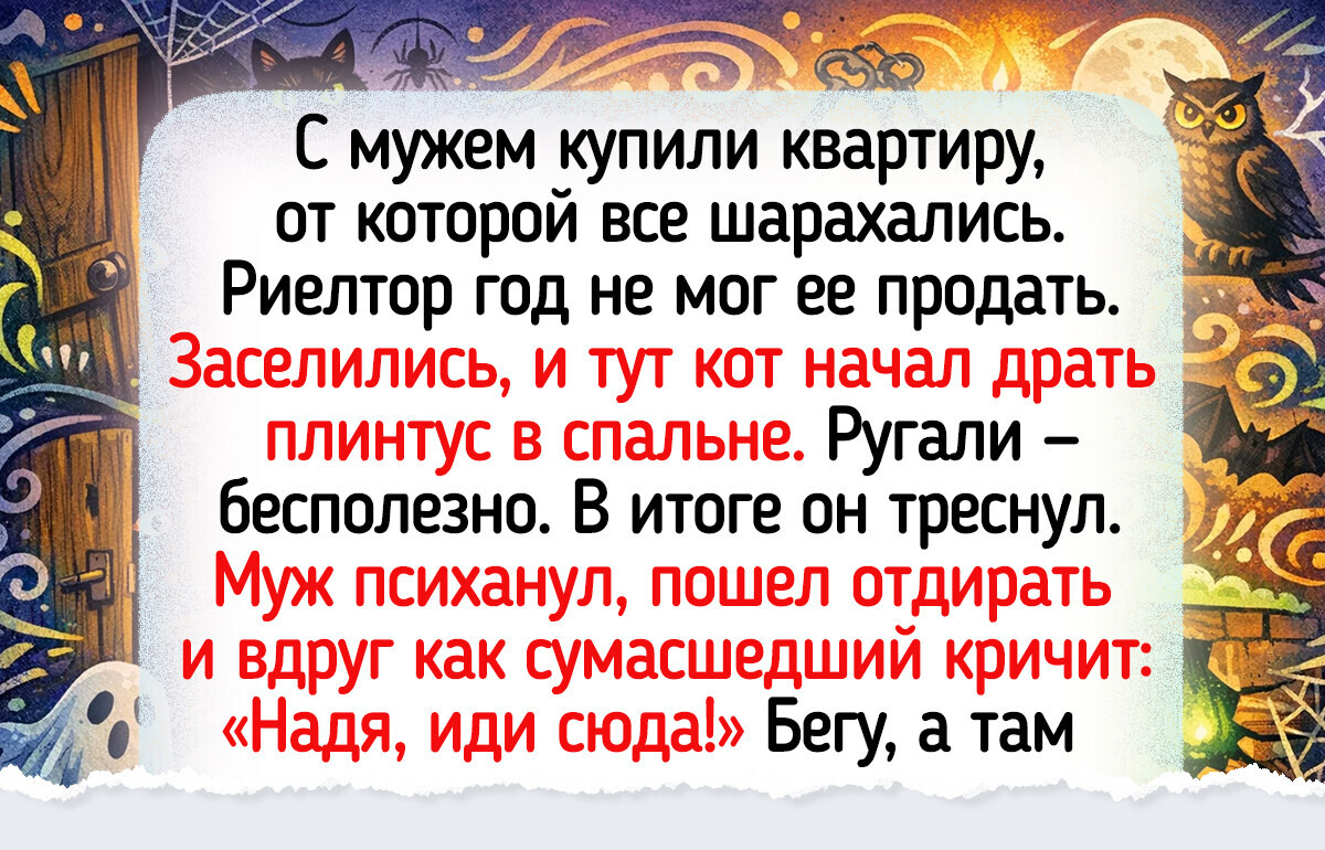 14 случаев, когда сообразительность пушистиков принесла хозяевам удачу