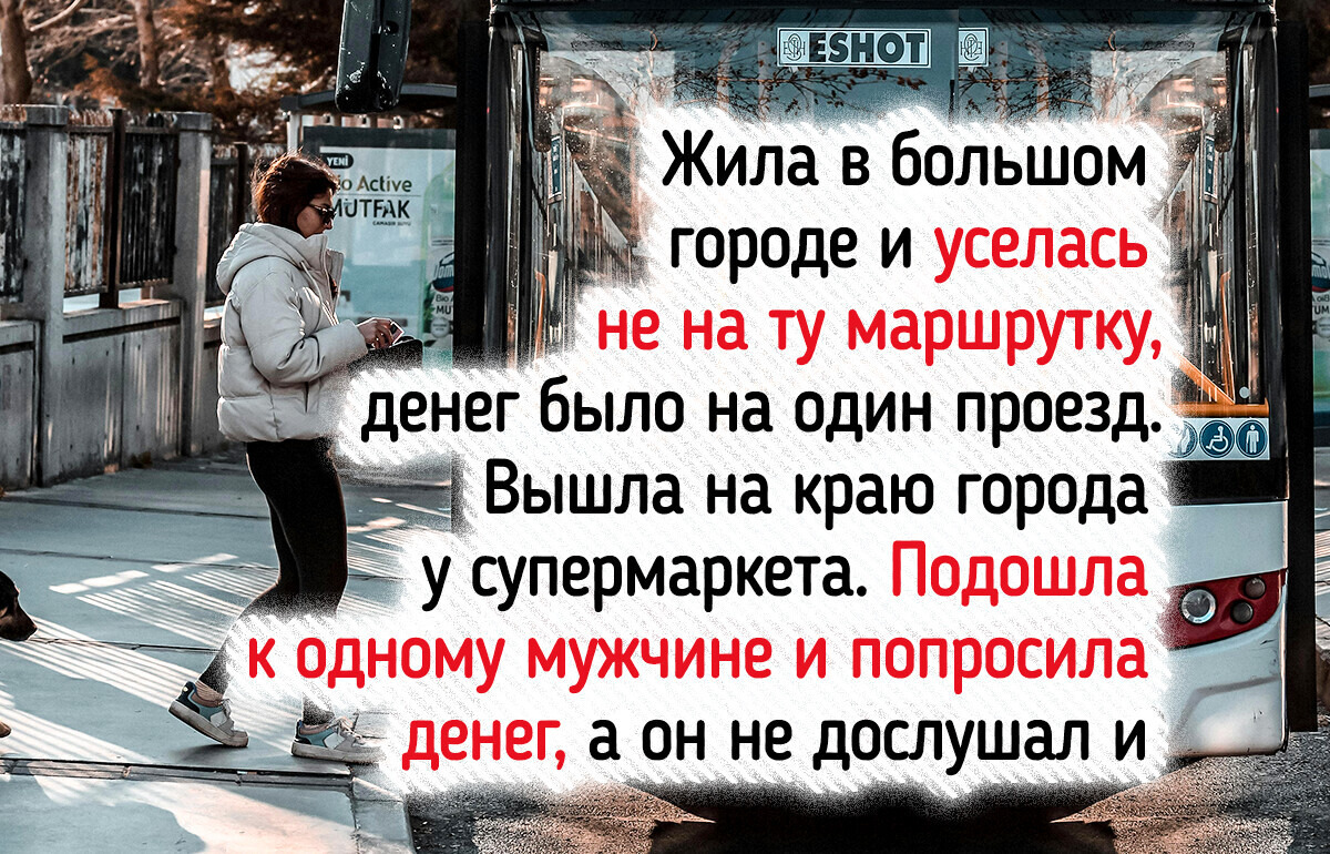 13 случаев, когда простое желание помочь обернулось яркой историей 13 случаев, когда простое желание помочь обернулось яркой историей