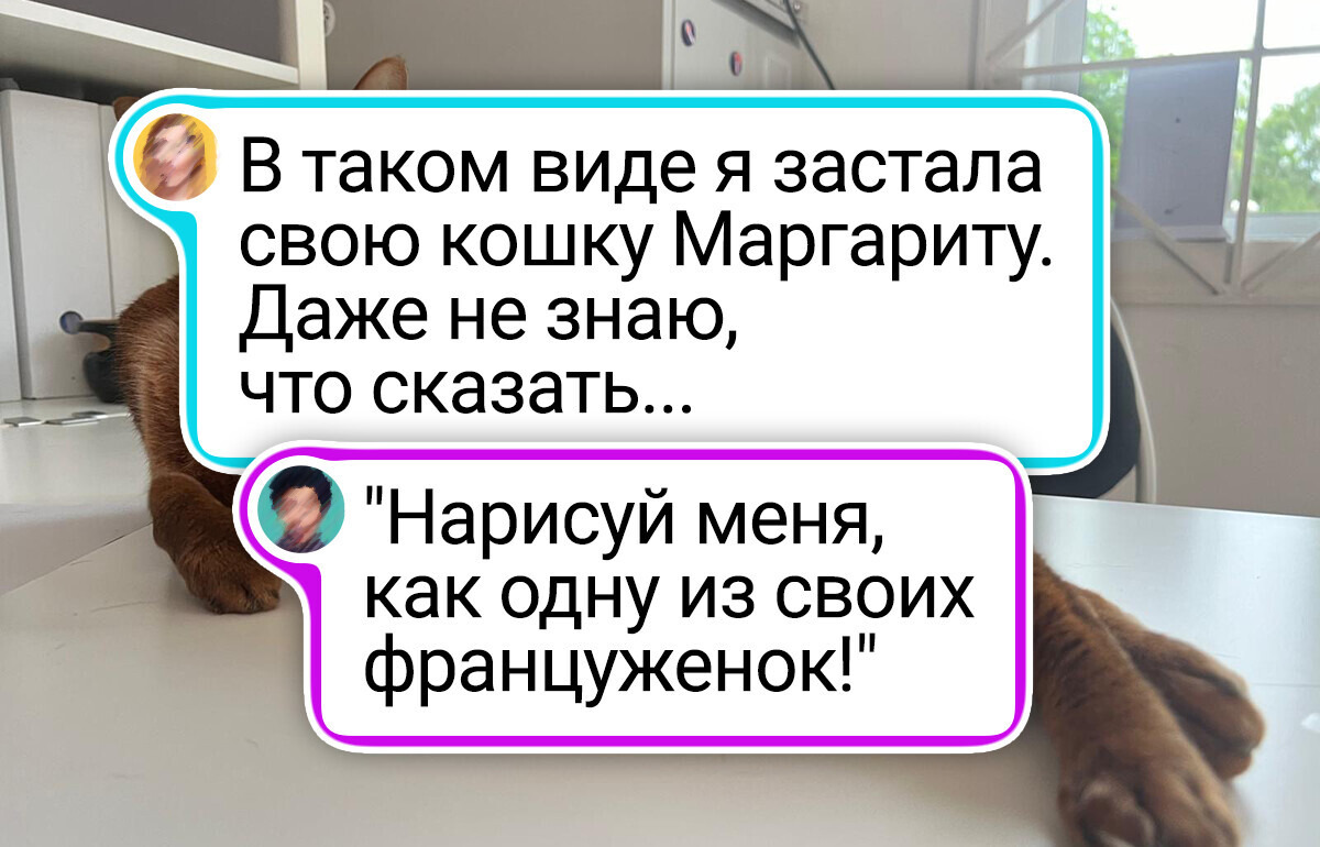 25 фото, доказывающих, что кот — это не питомец, а очень странный сосед, который не платит за аренду