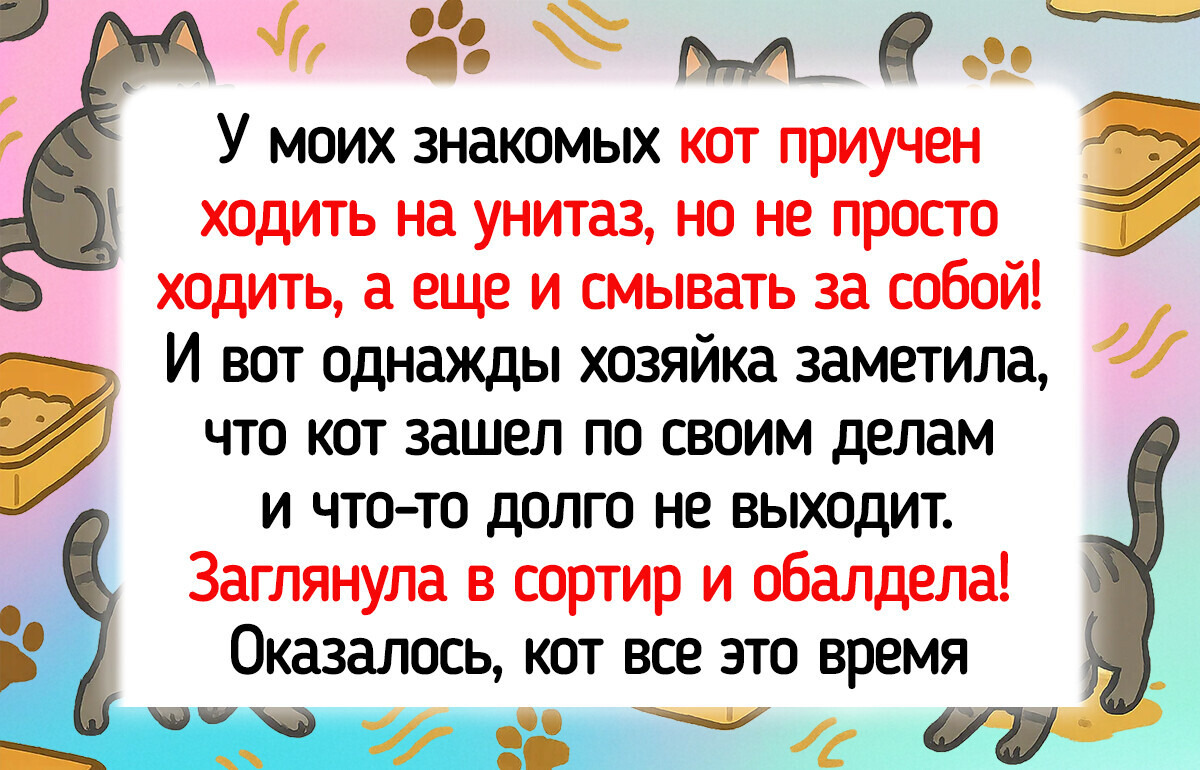 20+ пушистиков, которые играючи внесли нотку хаоса и юмора в наши будни